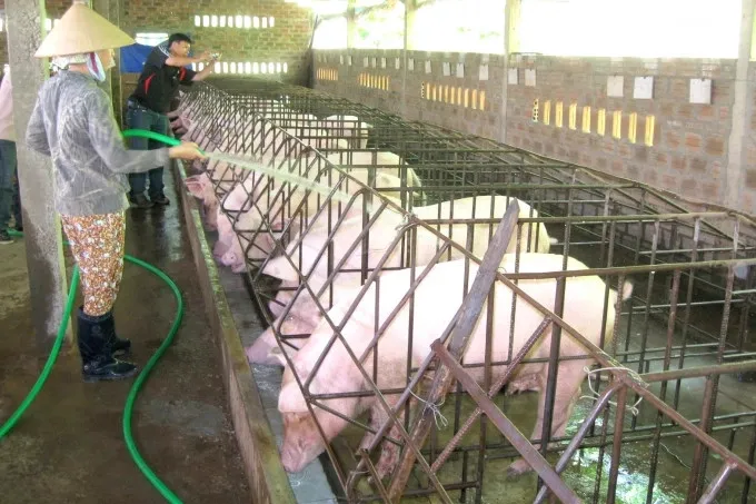 Sản phẩm 05463563 — Công Ty Cổ Phần Nông Nghiệp Đông Phương — MST 0313261666