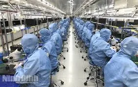 Sản phẩm 06018967 — Công Ty Cổ Phần Nông Nghiệp Đông Phương — MST 0313261666