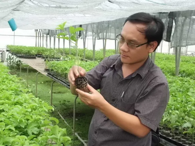 Sản phẩm 06228971 — Công Ty Cổ Phần Nông Nghiệp Đông Phương — MST 0313261666