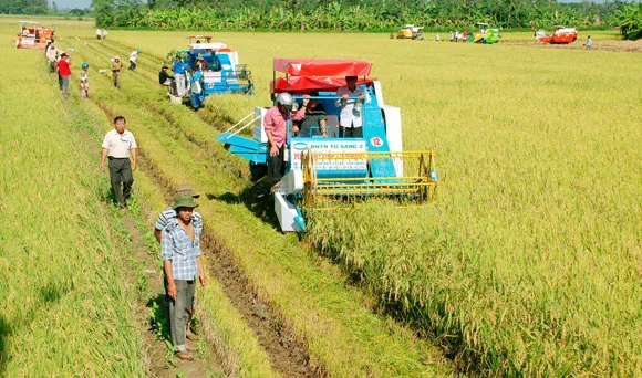 Sản phẩm 08435857 — Công Ty Cổ Phần Nông Nghiệp Đông Phương — MST 0313261666