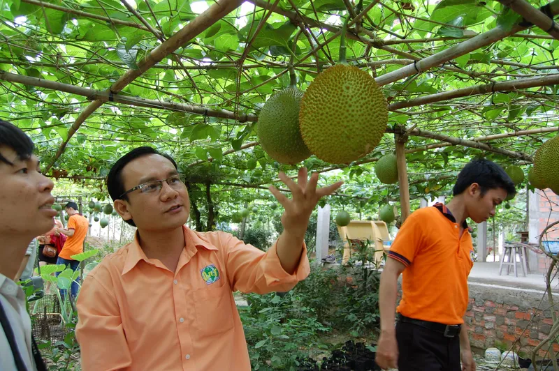 Sản phẩm 10661132.JPG — Công Ty Cổ Phần Nông Nghiệp Đông Phương — MST 0313261666