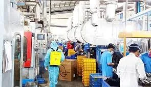 Sản phẩm 12958755 — Công Ty Cổ Phần Nông Nghiệp Đông Phương — MST 0313261666