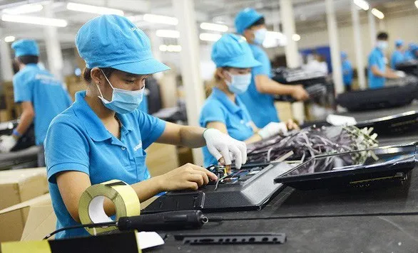 Sản phẩm 16579666 — Công Ty Cổ Phần Nông Nghiệp Đông Phương — MST 0313261666