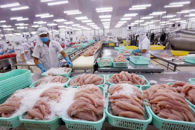Sản phẩm 17712166 — Công Ty Cổ Phần Nông Nghiệp Đông Phương — MST 0313261666