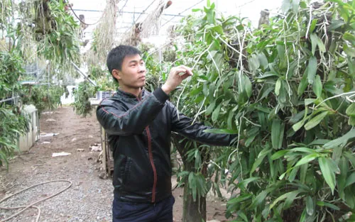 Sản phẩm 17793789 — Công Ty Cổ Phần Nông Nghiệp Đông Phương — MST 0313261666