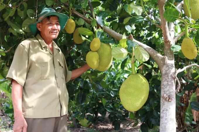 Sản phẩm 19504714 — Công Ty Cổ Phần Nông Nghiệp Đông Phương — MST 0313261666