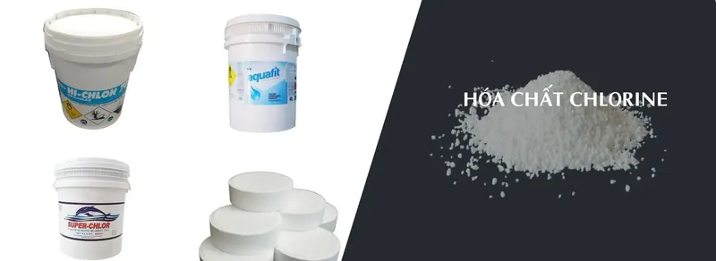 Sản phẩm 4s5y8g67rekquzubh3os8rdciq7r_z4974188759810_d84cff728ca6082b829bd89361c14483 — Công Ty TNHH Thương Mại Dịch Vụ XNK Gia Hoàng — MST 0313267065