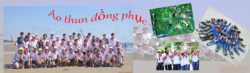 Sản phẩm untitled 1_647 — Công Ty TNHH Đầu Tư Sản Xuất Thương Mại Dịch Vụ Sông Trà — MST 0313279180