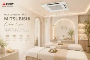 Sản phẩm Máy Lạnh Âm Trần Mitsubishi Cho Spa 300x200 — Điều Hòa Không Khí Việt Đại Tín - Công Ty TNHH Thương Mại - Dịch Vụ Kỹ Thuật Cơ
Điện Lạnh Việt Đại Tín — MST 0313283973