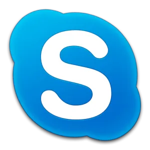 Sản phẩm skype icon 3 300x300 1 — Hạt Màu Đen - Công Ty TNHH Fahati Việt Nam — MST 0313287008