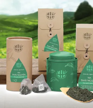 Sản phẩm Giai phap thiet ke bao bi Bigsouth — Công Ty TNHH Quảng Cáo Tiếp Thị Đại Nam — MST 0313294485