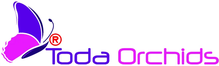 Logo Công Ty TNHH Hoa Lan TODA