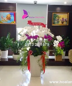 Văn phòng Công Ty TNHH Hoa Lan TODA #247 — MST 0313296115