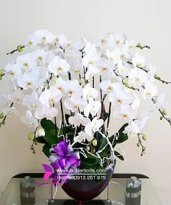 Sản phẩm hoa de ban lam viec hop menh kim 247x296 — Công Ty TNHH Hoa Lan TODA — MST 0313296115