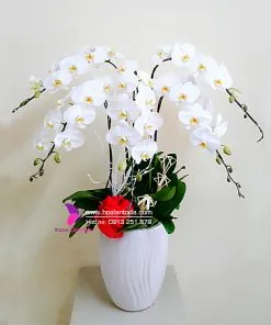 Sản phẩm tang hoa sinh nhat cho sep nam 247x296 — Công Ty TNHH Hoa Lan TODA — MST 0313296115