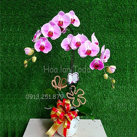 Sản phẩm hoa tang sinh nhat mau tim — Công Ty TNHH Hoa Lan TODA — MST 0313296115