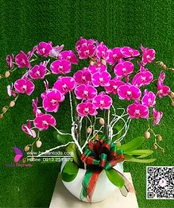 Sản phẩm hoa tang nguoi yeu nhan gui yeu thuong thay loi muon noi 247x296 — Công Ty TNHH Hoa Lan TODA — MST 0313296115