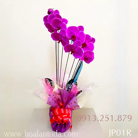 Sản phẩm lang hoa lan kieu nhat dep tang sinh nhat y nghia — Công Ty TNHH Hoa Lan TODA — MST 0313296115