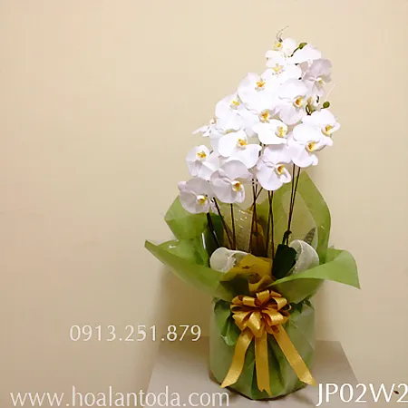 Sản phẩm mau gio hoa kieu nhat dep — Công Ty TNHH Hoa Lan TODA — MST 0313296115