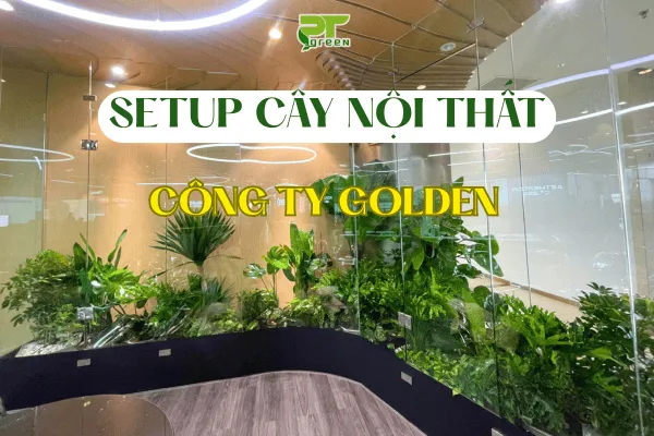 Văn phòng Công Ty TNHH Cảnh Quan Phương Trung #? — MST 0313303179
