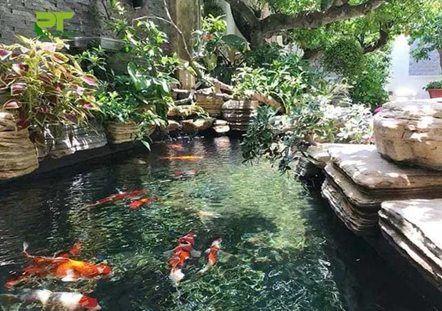 Sản phẩm thi cong ho ca koi san vuon — Công Ty TNHH Cảnh Quan Phương Trung — MST 0313303179