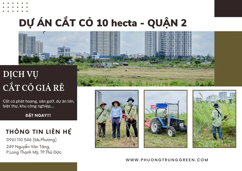 Sản phẩm dich vu cat co — Công Ty TNHH Cảnh Quan Phương Trung — MST 0313303179