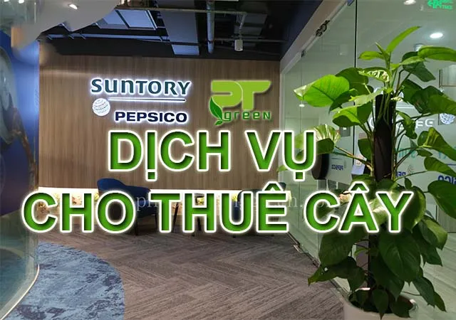 Sản phẩm dich vu cho thue cay xanh — Công Ty TNHH Cảnh Quan Phương Trung — MST 0313303179