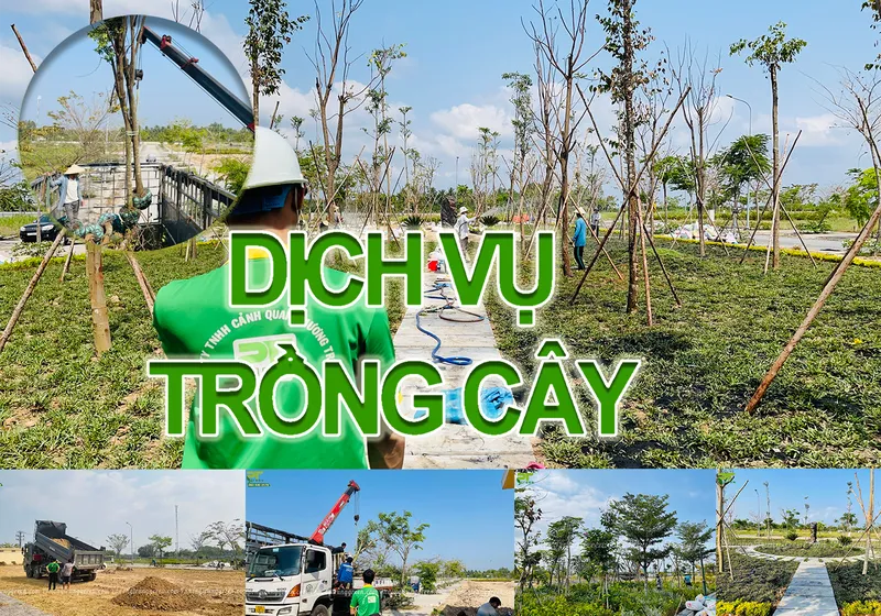 Sản phẩm dich vu trong cay xanh — Công Ty TNHH Cảnh Quan Phương Trung — MST 0313303179