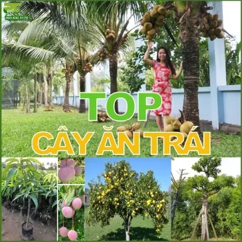 Sản phẩm small.top cay cong trinh an trai — Công Ty TNHH Cảnh Quan Phương Trung — MST 0313303179