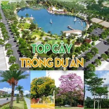 Sản phẩm small.top cay trong du an — Công Ty TNHH Cảnh Quan Phương Trung — MST 0313303179