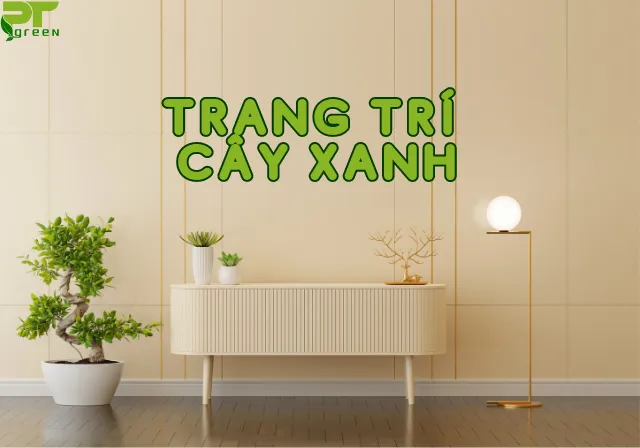 Sản phẩm dich vu trang tri cay xanh — Công Ty TNHH Cảnh Quan Phương Trung — MST 0313303179