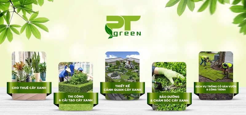 Sản phẩm 7cc7c3e022bb8a5d716bc953f9a7f308 — Công Ty TNHH Cảnh Quan Phương Trung — MST 0313303179