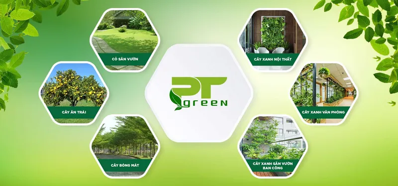 Sản phẩm c7630f6e47d1e0ea8b053063014553cd — Công Ty TNHH Cảnh Quan Phương Trung — MST 0313303179