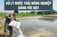 Sản phẩm geminigeneratedimagepex8ckpex8ckpex8 1302 — Công Ty TNHH Khoáng Sản Sơn Nam — MST 0313319027