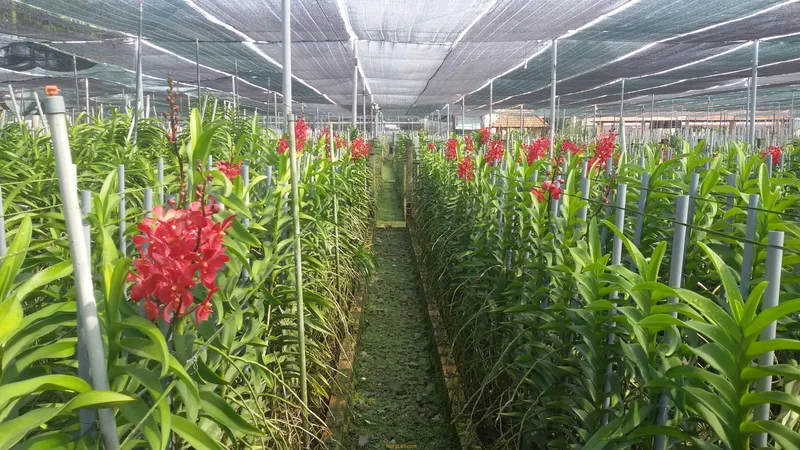 Sản phẩm 20150122095914 14496523801 — Lưới Lê Gia - Công Ty TNHH Đầu Tư Thương Mại XNK Lê Gia — MST 0313320551
