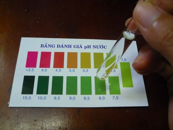 Sản phẩm cach kiem tra PH — Thiết Bị Bể Bơi Nhà Việt - Công Ty TNHH Thiết Kế Và Xây Dựng Nhà Việt — MST 0313338284