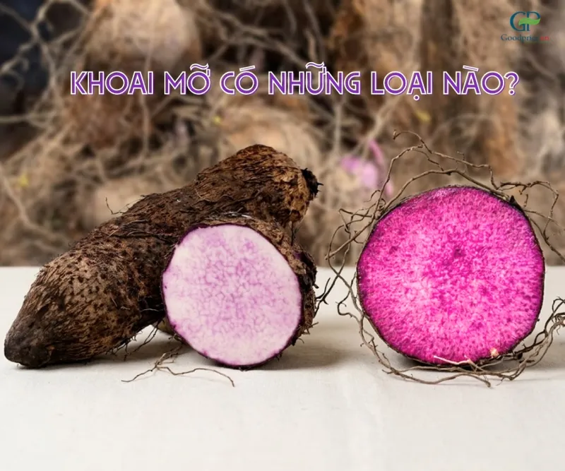 Sản phẩm khoai mo nao phu hop de san xuat bot khoai mo chat luong 6o0btg8y — Công Ty TNHH Thương Mại Dịch Vụ Goodprice Việt Nam — MST 0313349134