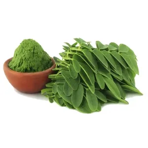 Sản phẩm 33490a9dfb4536d73a1b91d1aef6c4d5 — Công Ty TNHH Thương Mại Dịch Vụ Goodprice Việt Nam — MST 0313349134