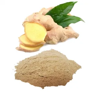 Sản phẩm 84cd17bc2f05dfc79ec50734979f6892 — Công Ty TNHH Thương Mại Dịch Vụ Goodprice Việt Nam — MST 0313349134