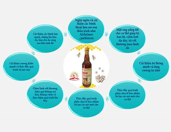 Sản phẩm gia tri dinh duong va cong dung cua mat ong thumbnail — Công Ty TNHH Thương Mại Và Sản Xuất Mật Ong Nhân Đức — MST 0313350820
