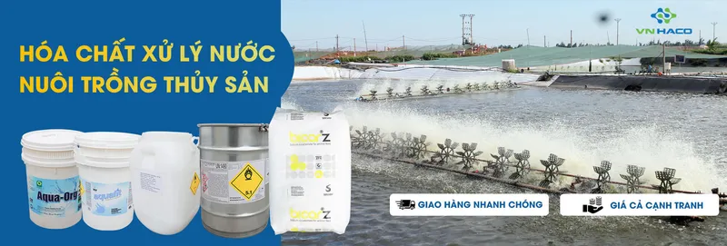 Sản phẩm 1234343443 — Công Ty TNHH VN HACO — MST 0313351704