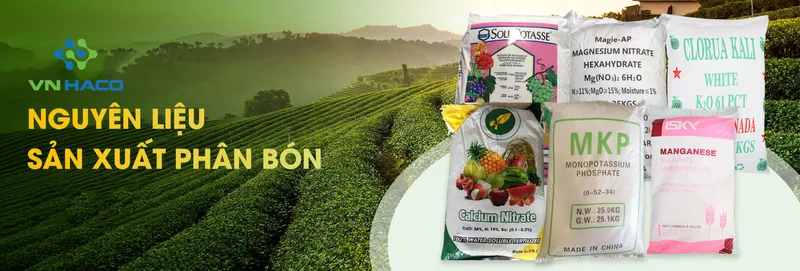 Sản phẩm phan bon — Công Ty TNHH VN HACO — MST 0313351704