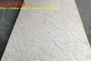 Sản phẩm TGP 9635 1 1 300x200 — Công Ty Cổ Phần Xuất Nhập Khẩu TGI — MST 0313352747