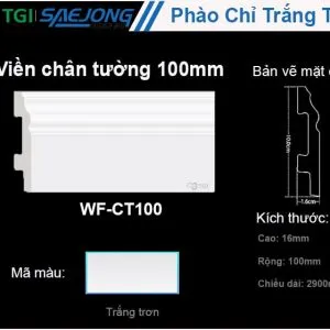 Sản phẩm WF CT100 min 300x300 — Công Ty Cổ Phần Xuất Nhập Khẩu TGI — MST 0313352747