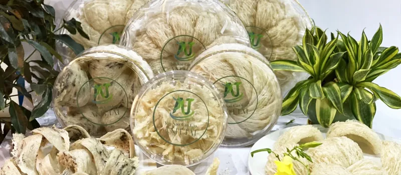 Sản phẩm 648753296918135_1366x600 — Yến Sào Cần Giờ Anh Tài - Công Ty TNHH Yến Sào Cần Giờ Anh Tài — MST 0313362784