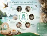 Sản phẩm yensaotaorathenao 492_157x120 — Yến Sào Cần Giờ Anh Tài - Công Ty TNHH Yến Sào Cần Giờ Anh Tài — MST 0313362784