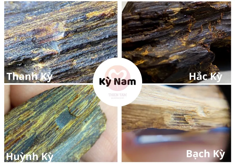 Sản phẩm ky nam de lam gi ky nam gia bao nhieu — Công Ty Cổ Phần Trầm Hương Thiên Tâm — MST 0313364213