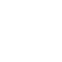 Sản phẩm dollar — Dây Dệt DPC - Công Ty TNHH Sản Xuất DPC — MST 0313375141