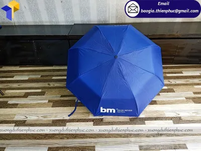 Sản phẩm du cam tay can thang quang cao1565580666sqdlb 400x300 — Công Ty TNHH SX KD XNK Thiên Phúc — MST 0313382558