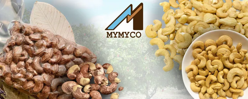 Sản phẩm 545595638163479 — Công Ty TNHH Thương Mại Xuất Nhập Khẩu My My — MST 0313390654